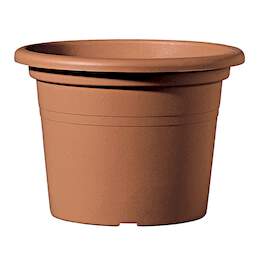 1086120 - Blumentopf Day R cotto