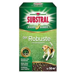 1228931 - Rasensamen der Robuste 1kg f. 50m2